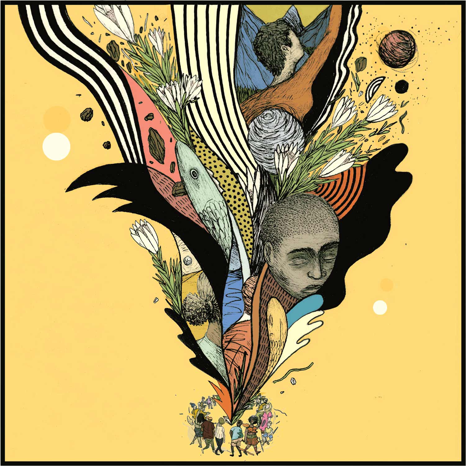 AHED024_PACKSHOT_3000